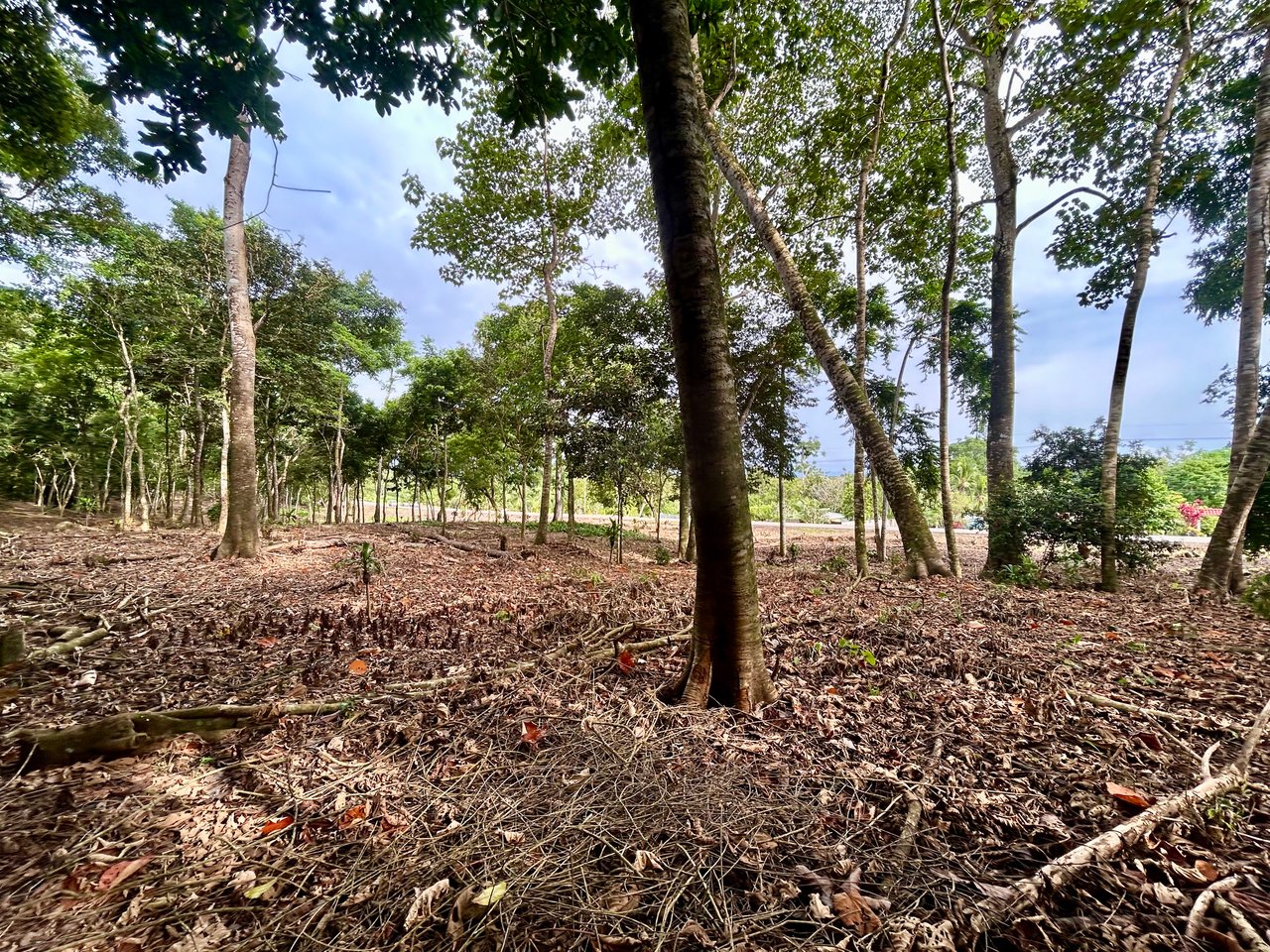 Tawal Lots for Sale – Prime Commercial & Residential Opportunity