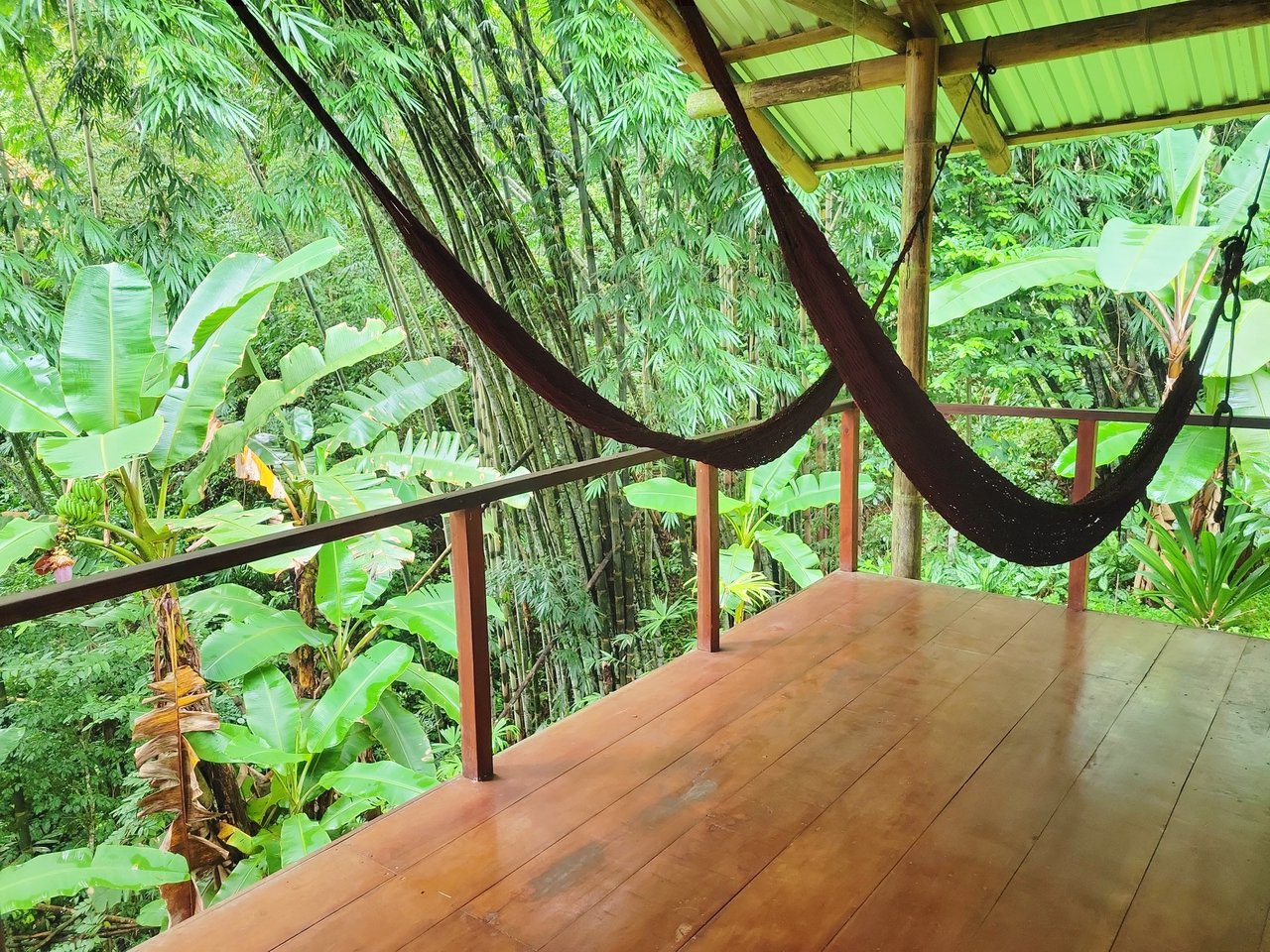 CASCADA ELYSIANA – ECO-RETREAT WITH HUGE WATERFALL