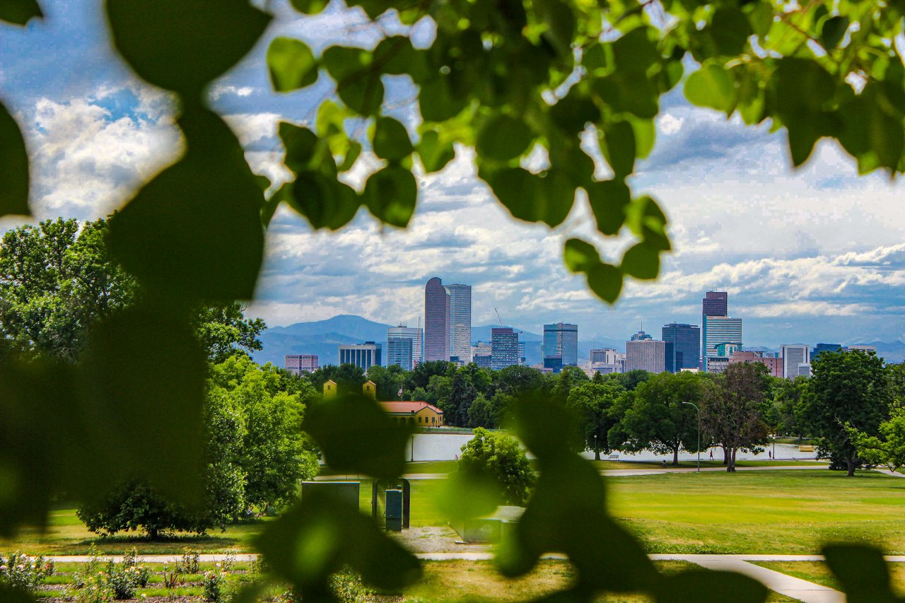 Central Park 