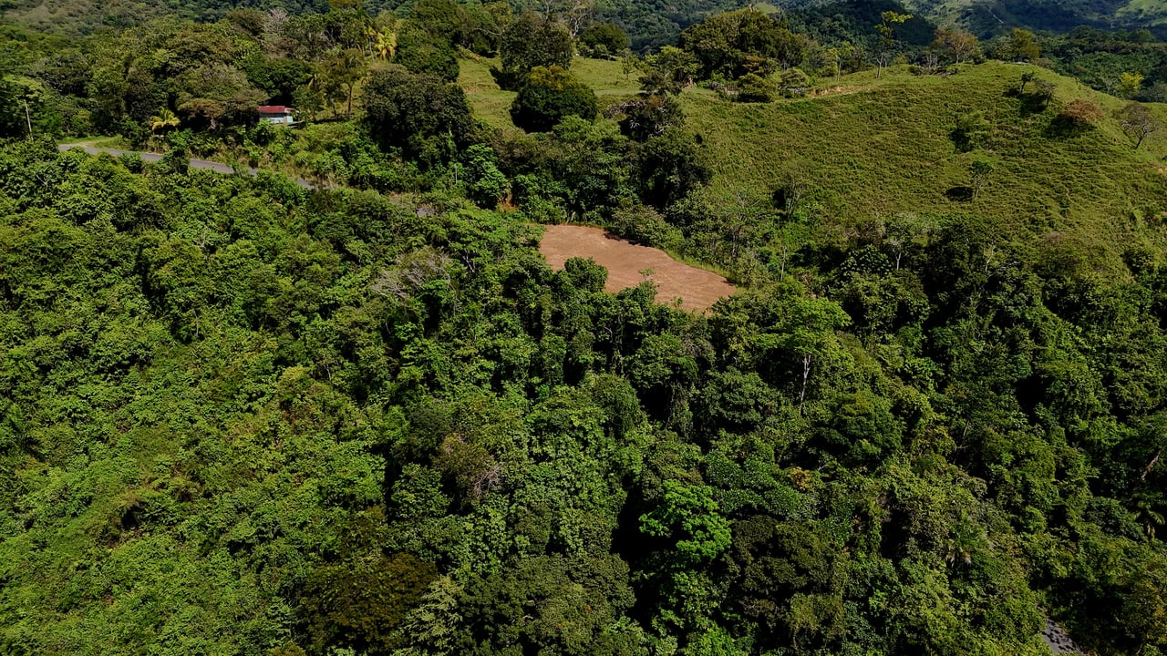  FIRE SALE! Two Adjacent Ocean-View Lots Sold Together – Chontales, Osa (10,487 m² + 9,844 m²)