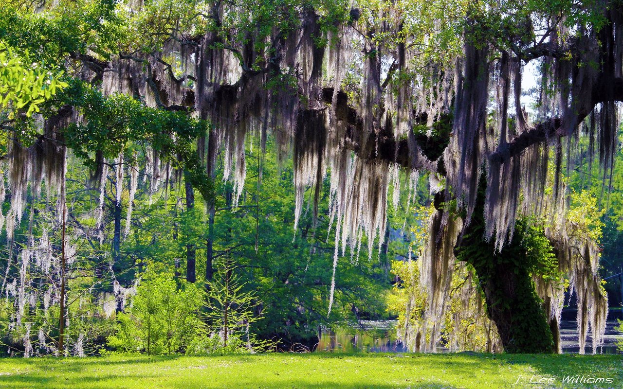 Slidell