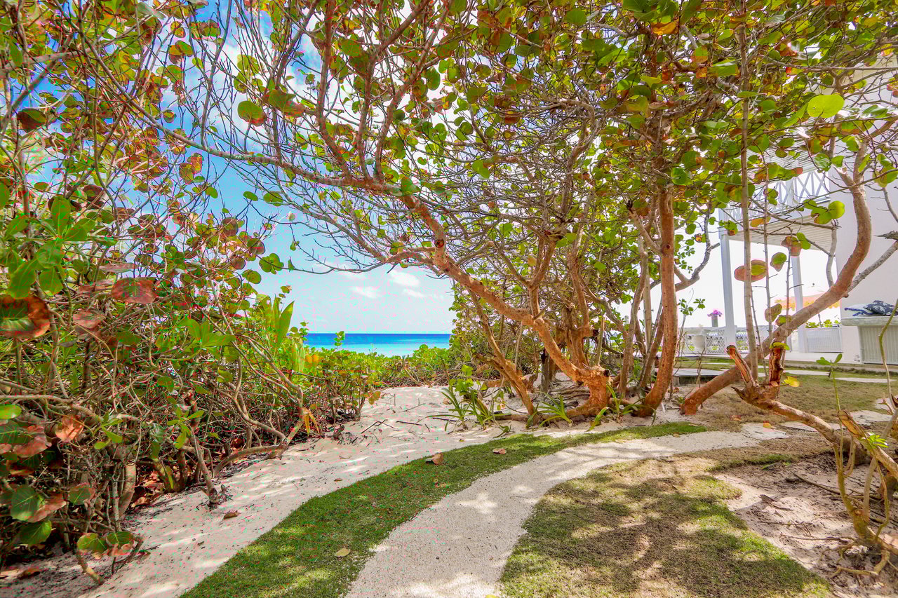 Sea Siren, An Oceanfront Retreat in Harbour Island