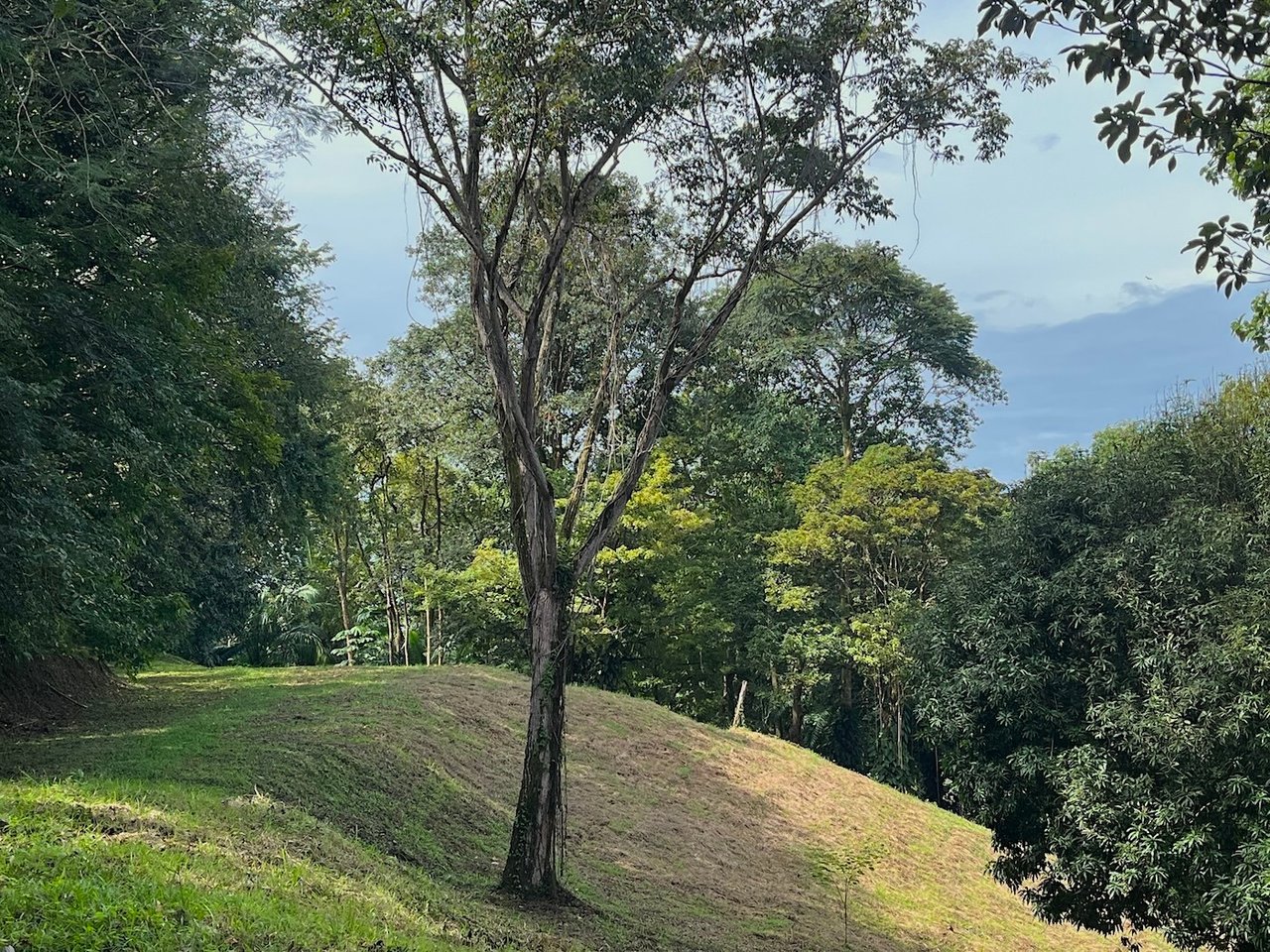 Luxury Development Land, Uvita, Puntarenas