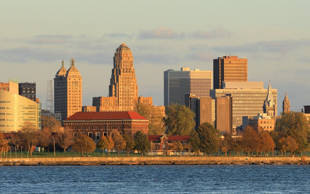Buffalo