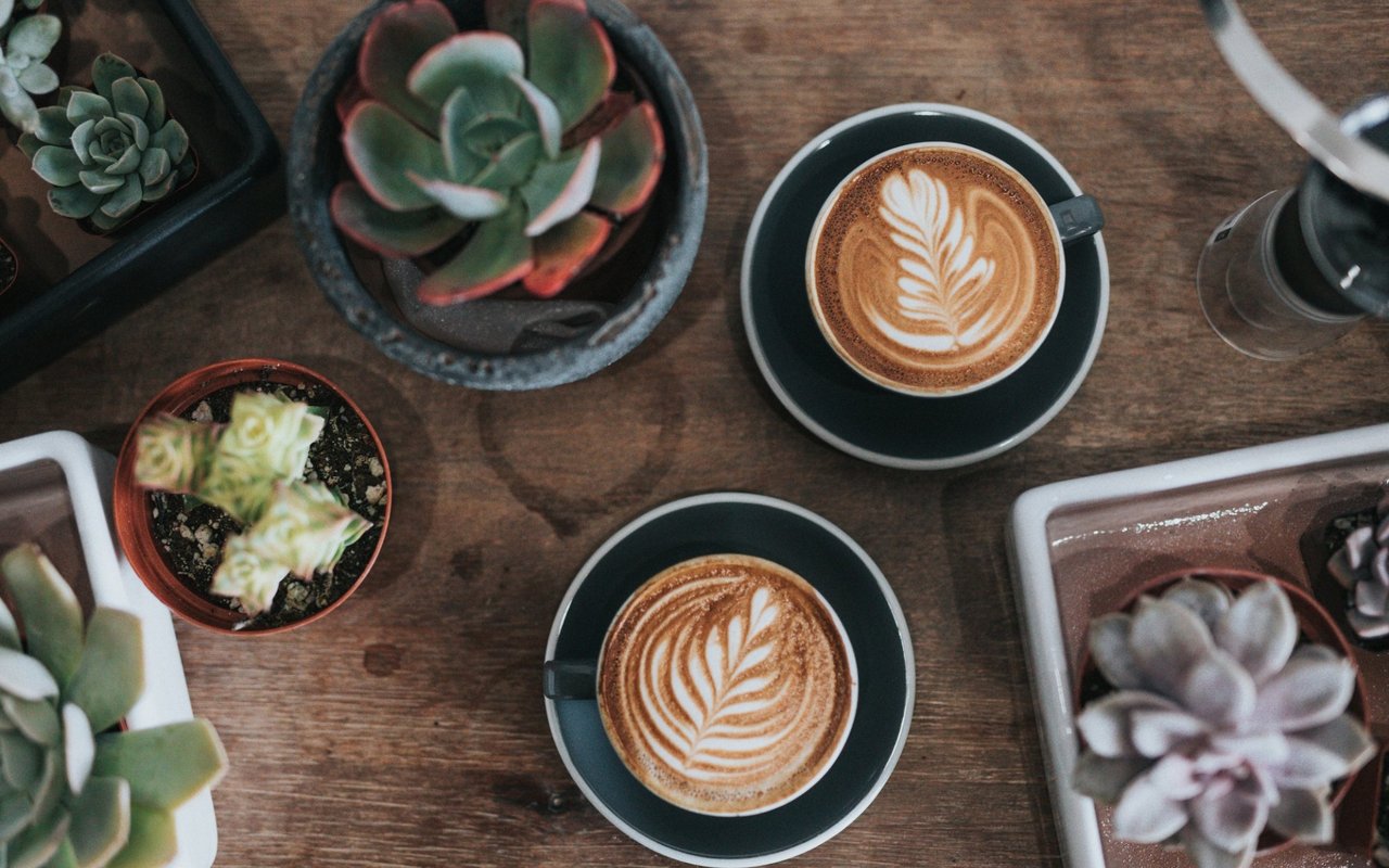 The Best Coffee Shops in Colorado according to Food + Wine Magazine