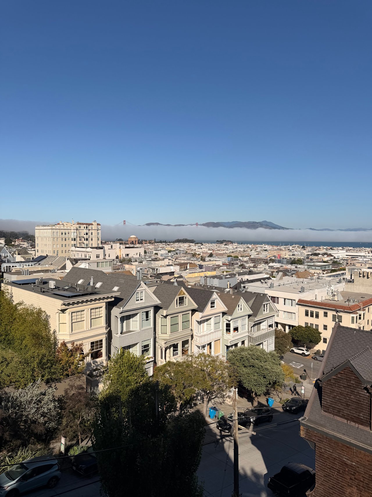San Francisco - Cow Hollow - Alexis Kushner
