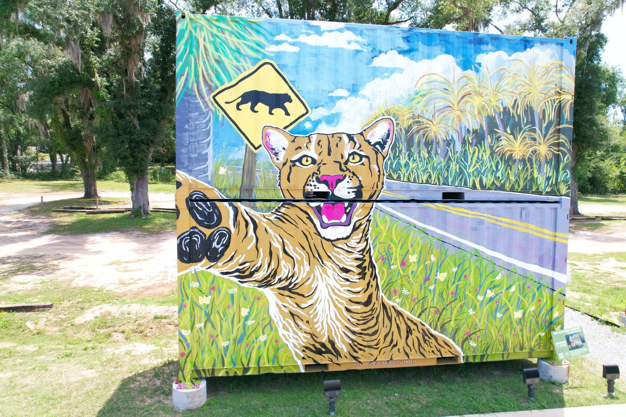 SOMO Walls Art in Tallahassee, FL