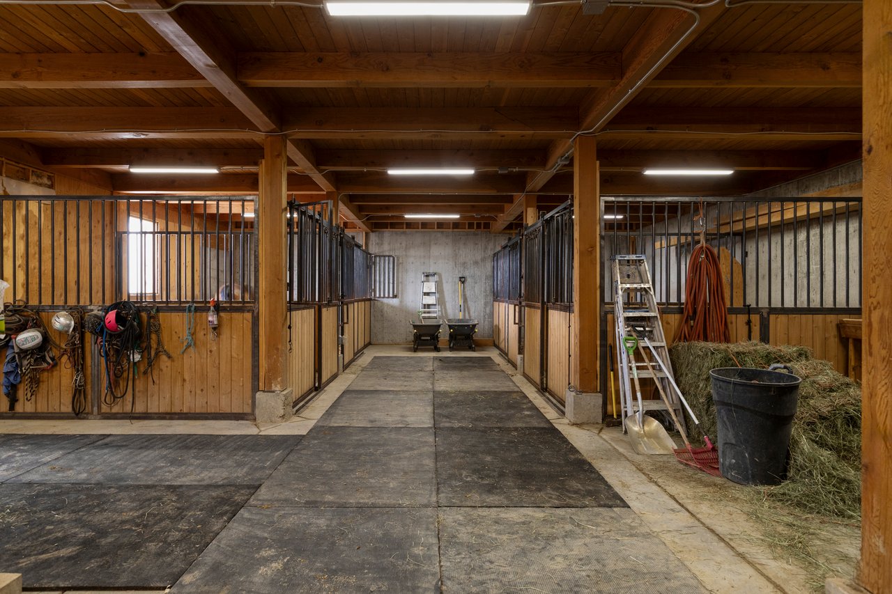 A Day in the Life at Koda Ranch