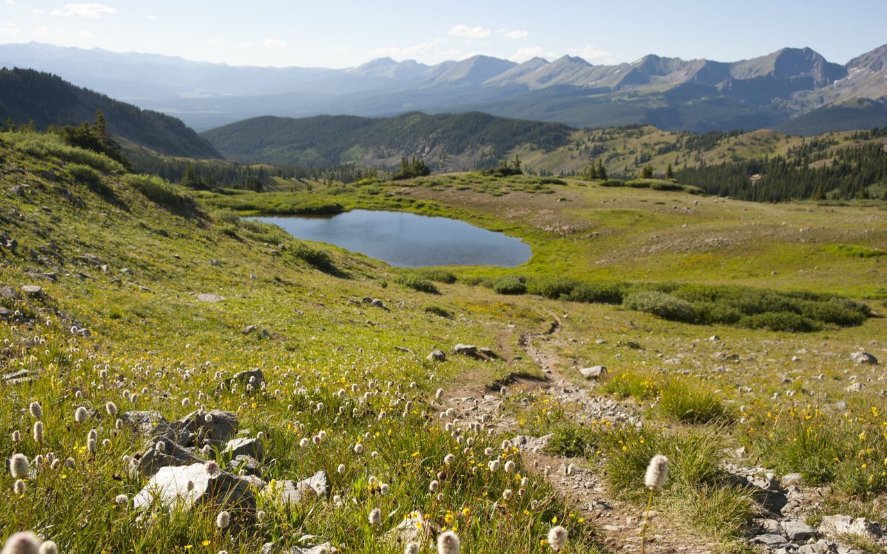 Chaffee County