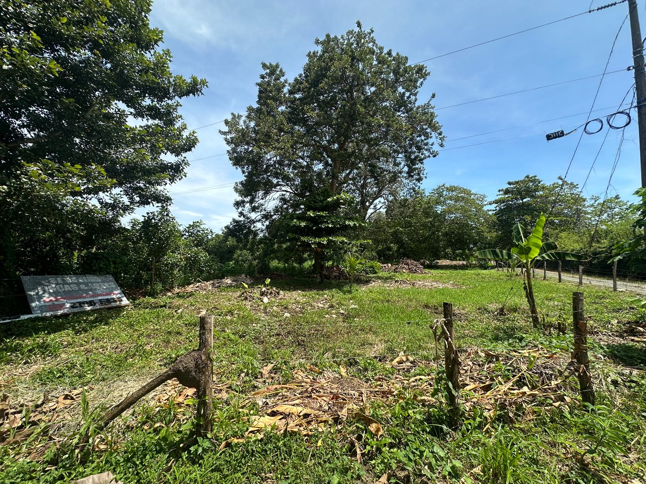 Prime Lot Just 350 Meters from Matapalo Beach – Ideal for Commercial or Residential Development