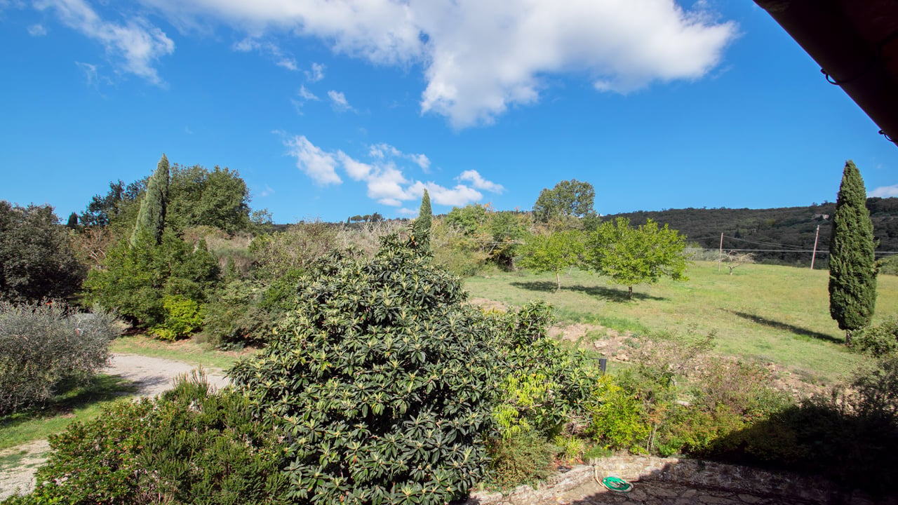 CASALE DEL PITTORE