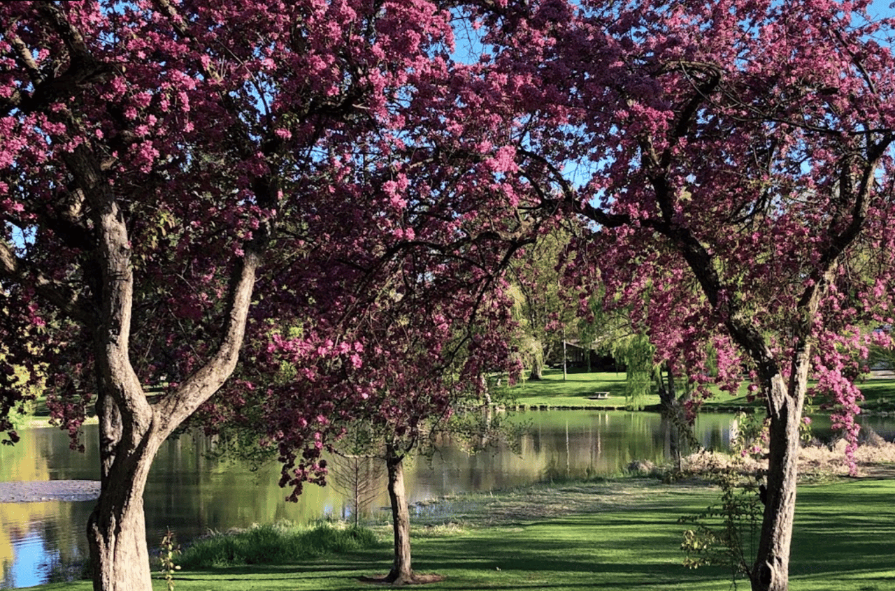 Cannon Hill Park