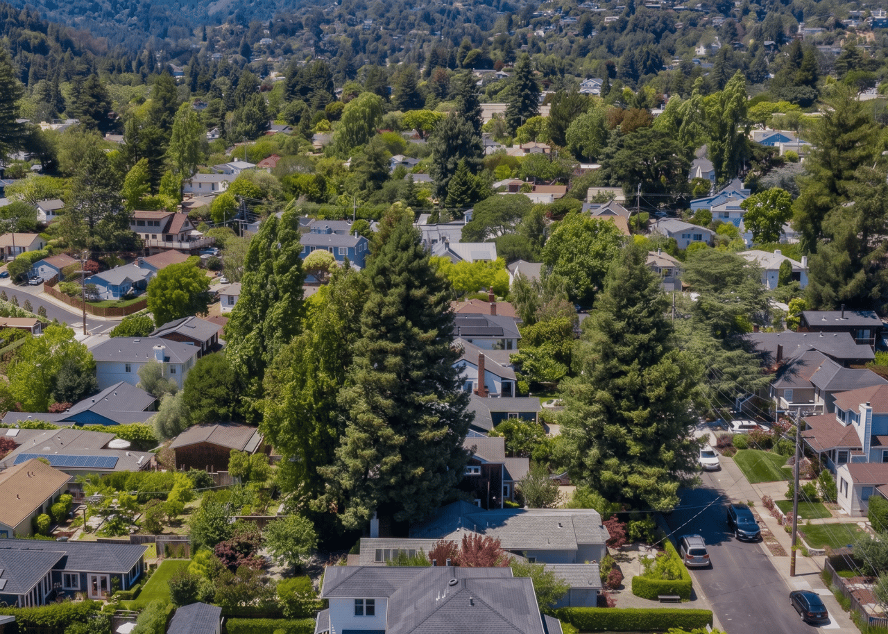 Sycamore Park & Tamalpais Park
