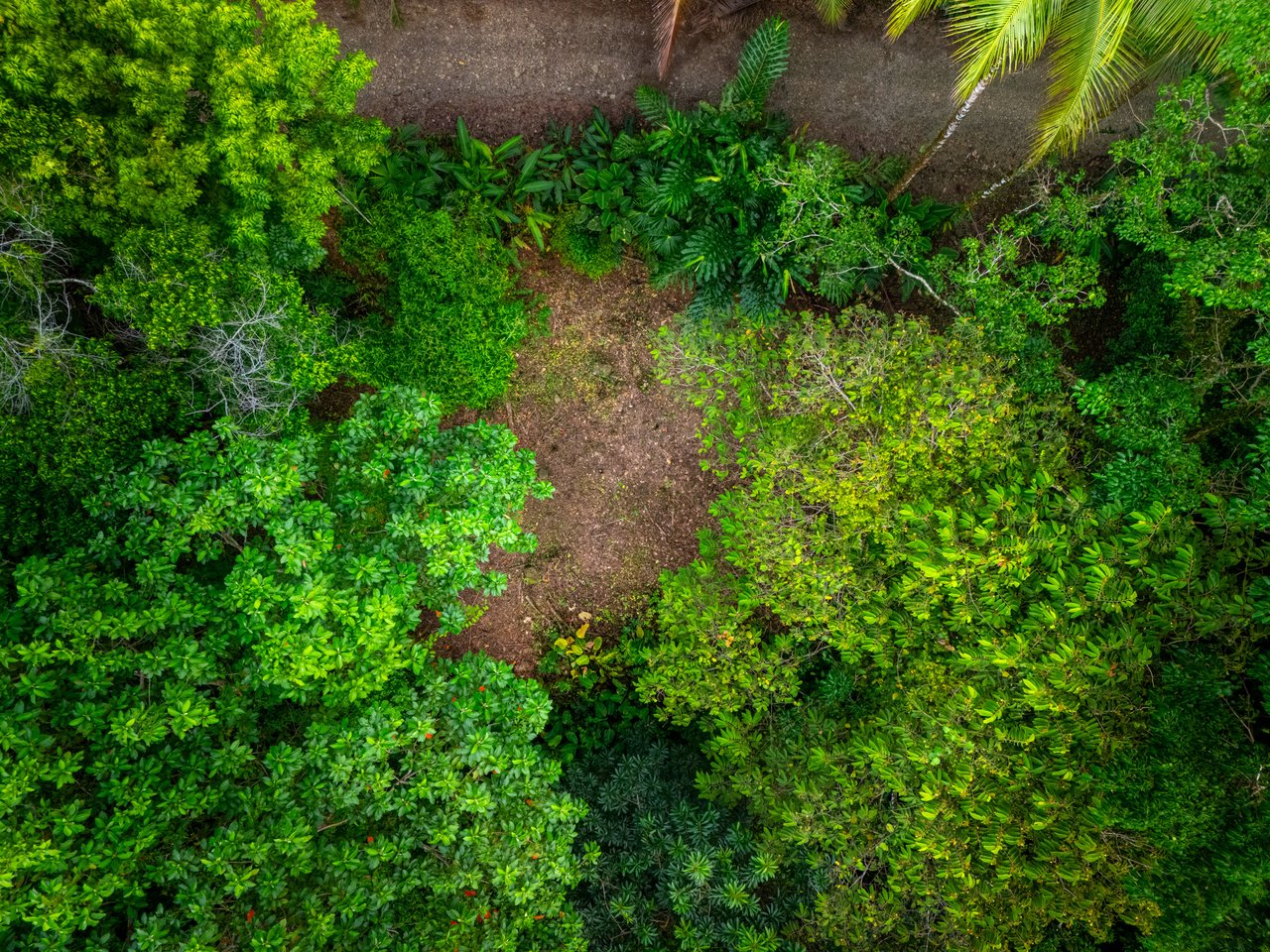 Castillo Puesta del Sol, Escalares - 