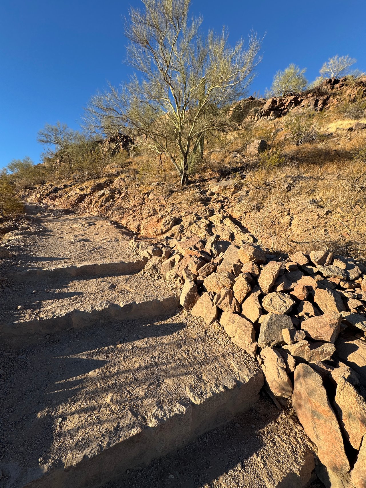 Scottsdale