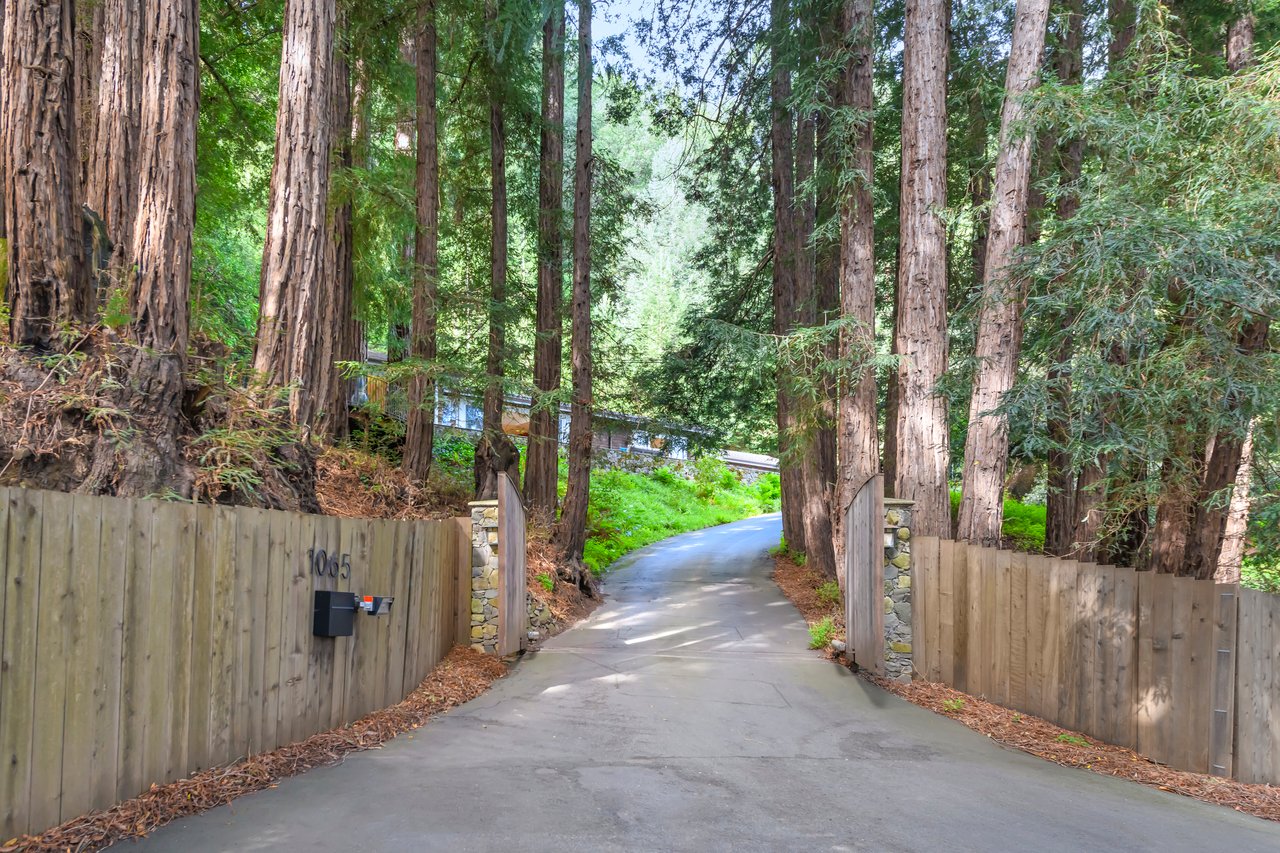 Enchanted Single-Level Haven Among the Redwoods