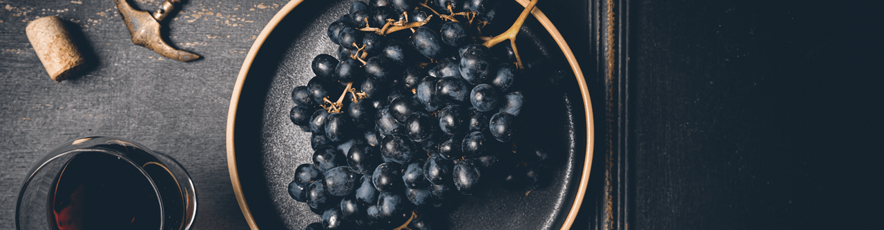 Uncorked | Getting the Most Out of Your Wine-Tasting Experience