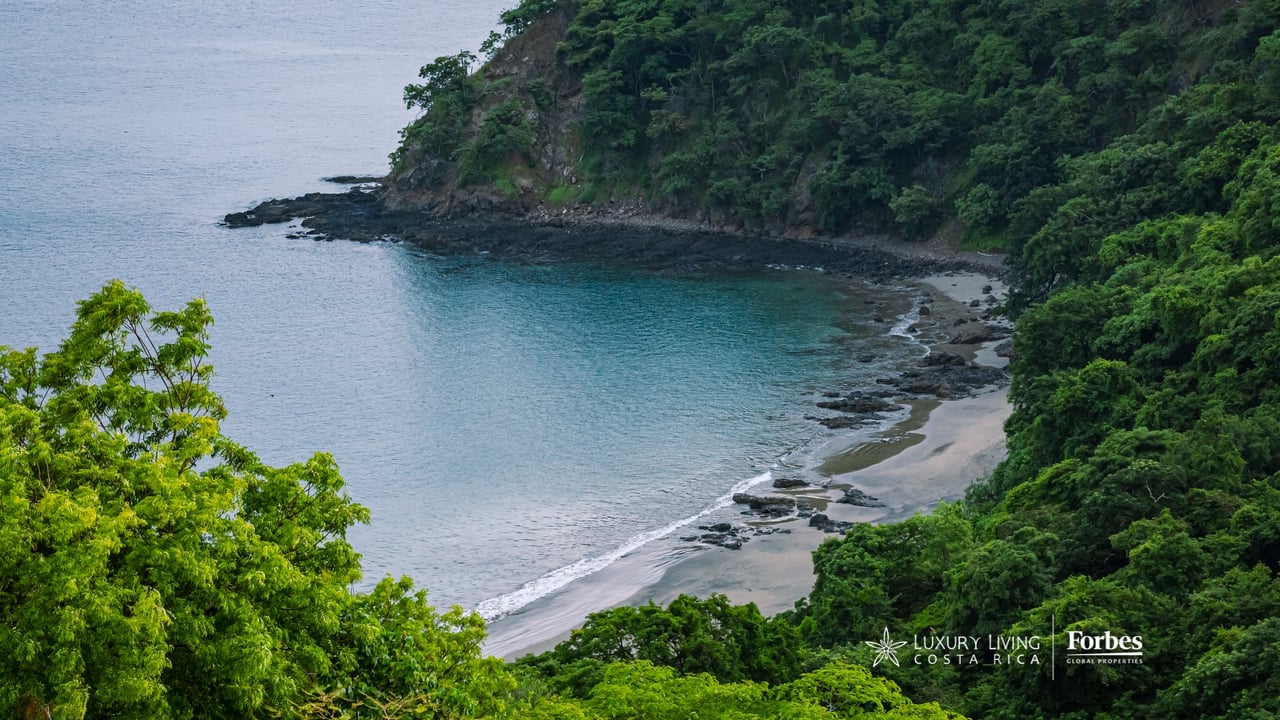 Secluded ocean cove bordered by a narrow sandy beach and lush forest.