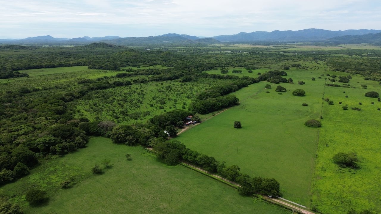 243 Hectares - Large Acreage - Costa Rica Investment Land. 