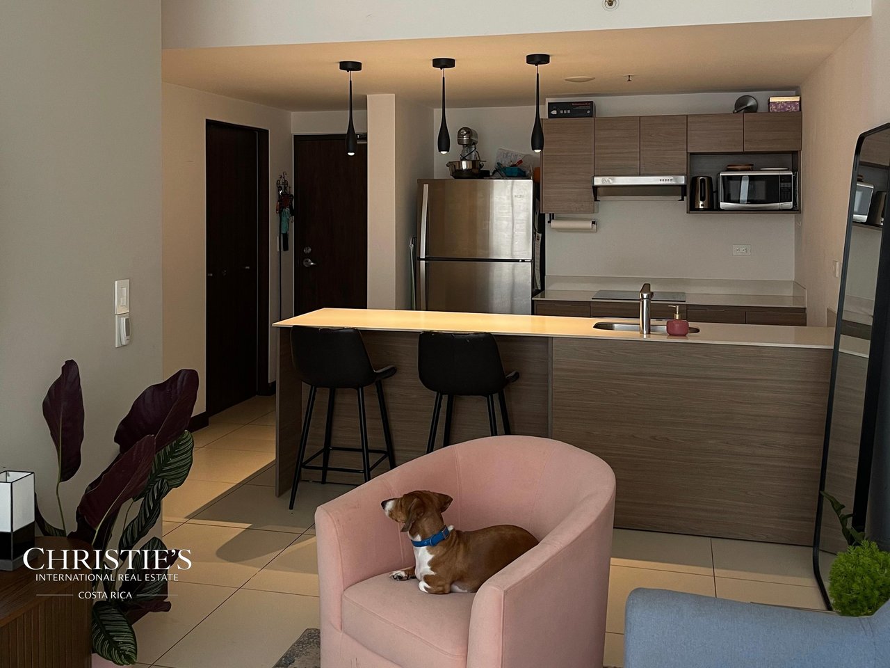Contemporary 15th Floor Residence at U Nunciatura – Rohrmoser