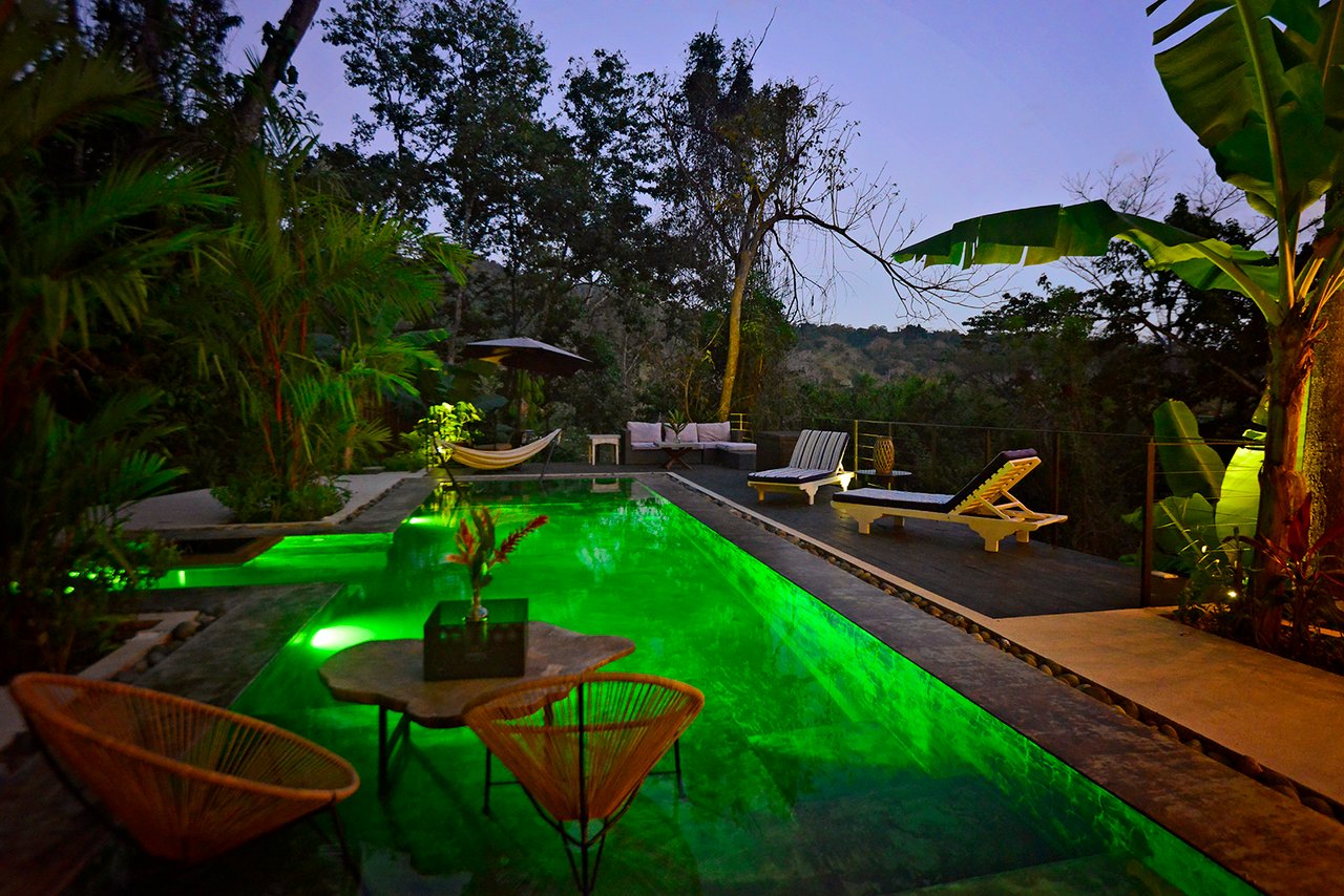 The Jungle Residence