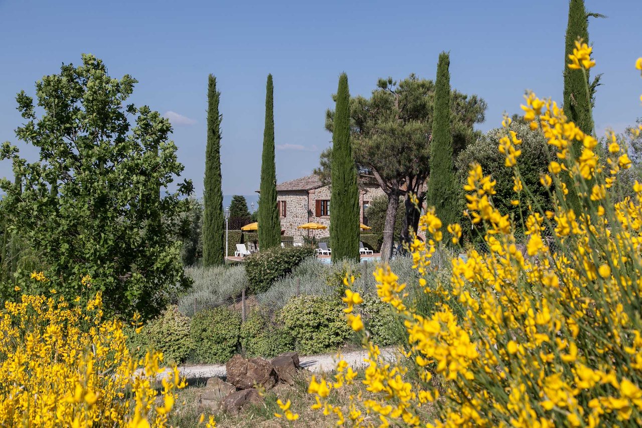 Agriturismo - Torrita di Siena