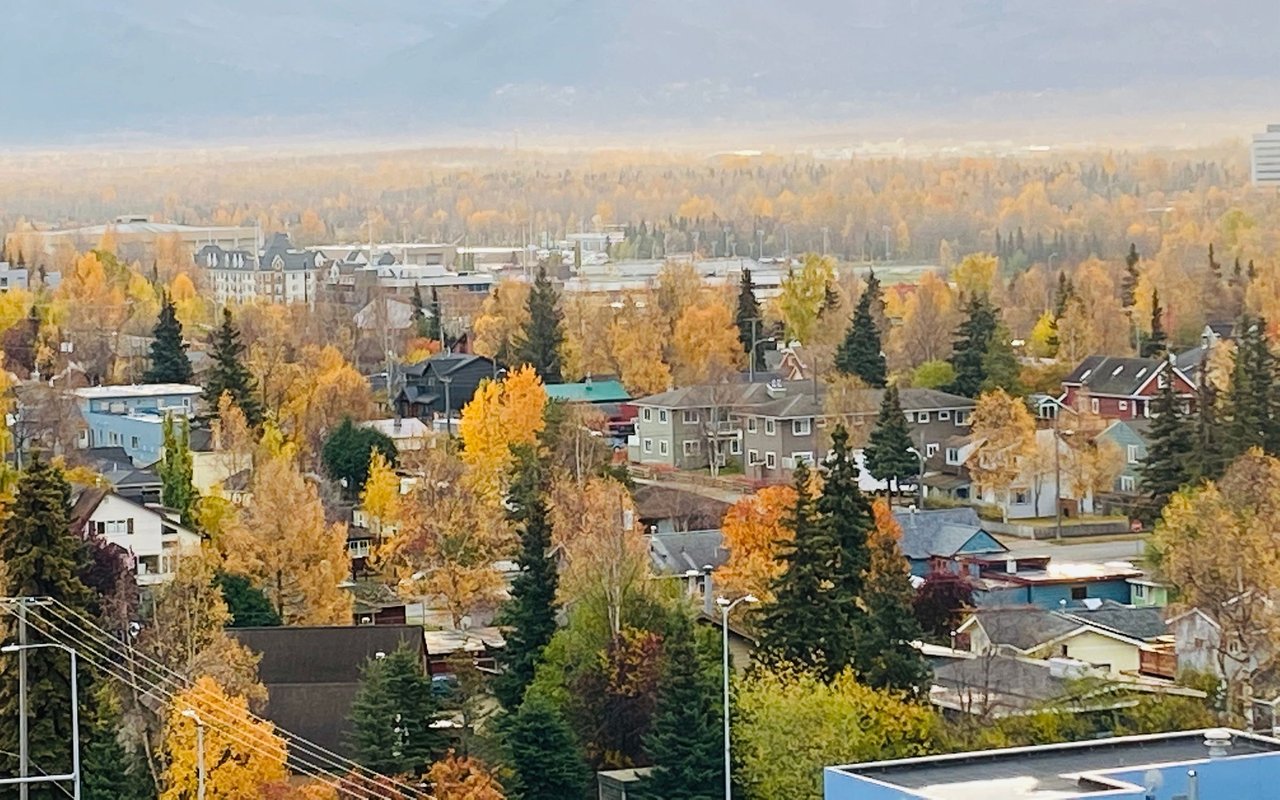 Anchorage neighborhood with houses among golden autumn trees and a hazy distant horizon.