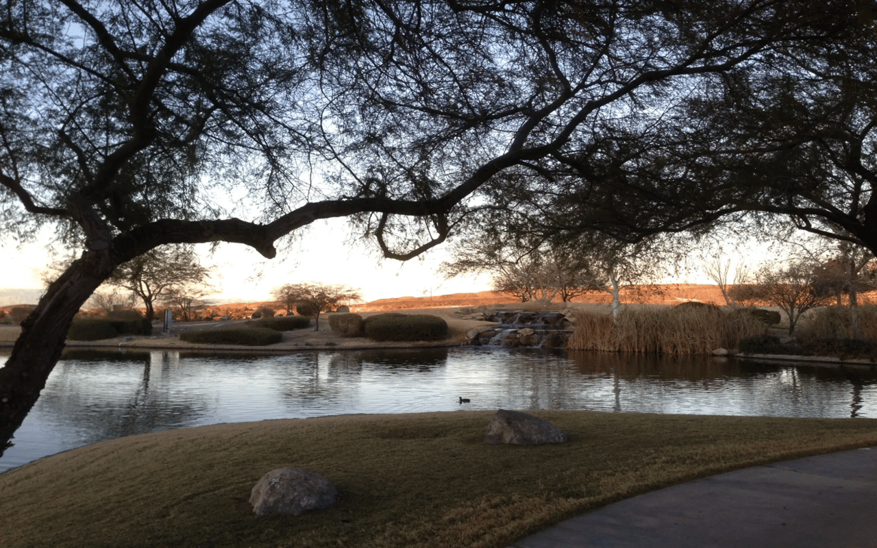 See What $ 3 Million Buys in Anthem Country Club – Guard Gated Luxury Homes in Henderson