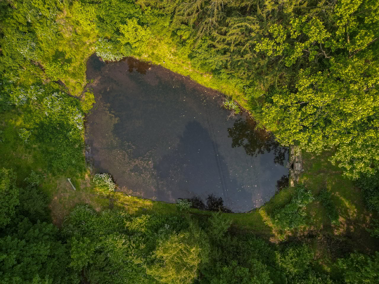 122 Buffalo Hollow Rd