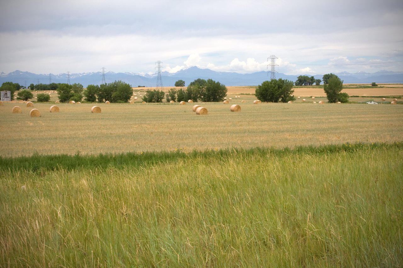 Milliken