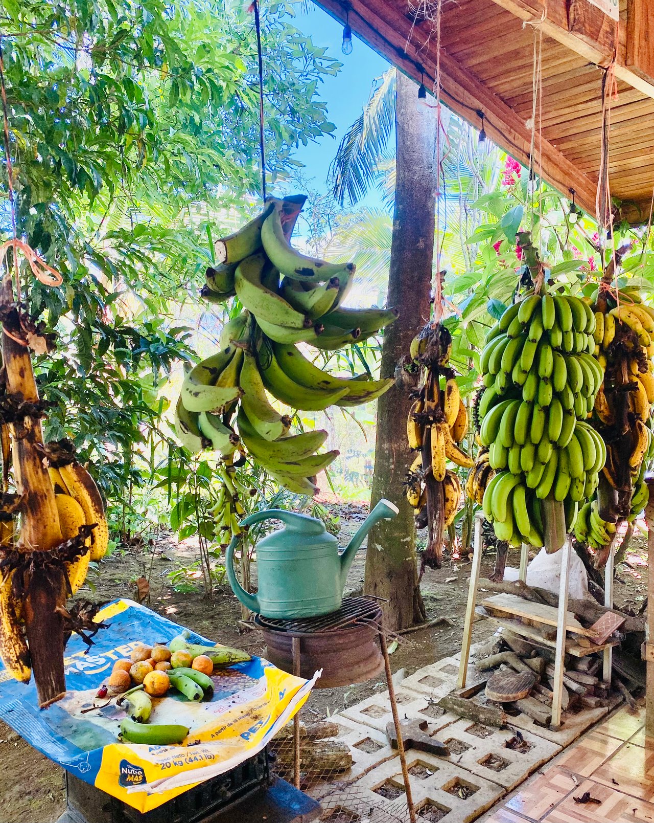 54 Acre Ranch in San Vito, Coto Brus