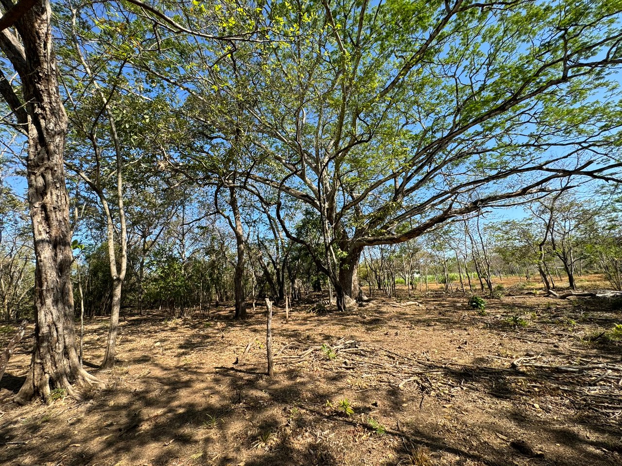 Beautiful Estate Lots Strategically Located in Villareal – Tamarindo – Guanacaste