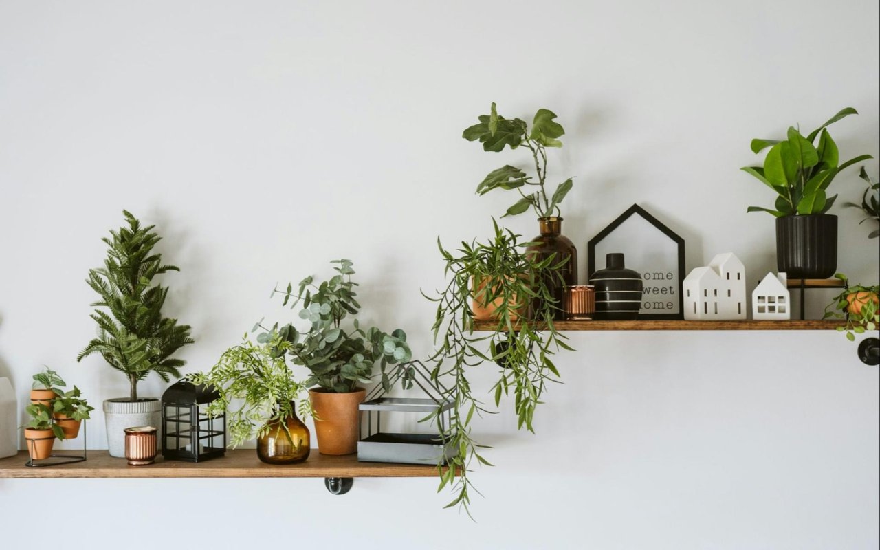 Benefits of Owning a Home with Natural Light