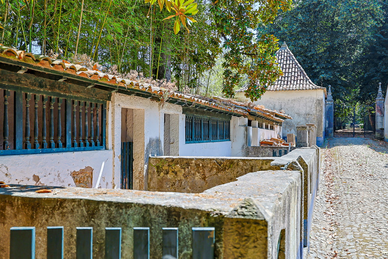 Magnificent 17th-Century Palace with  76,400 m² Estate Near Coimbra