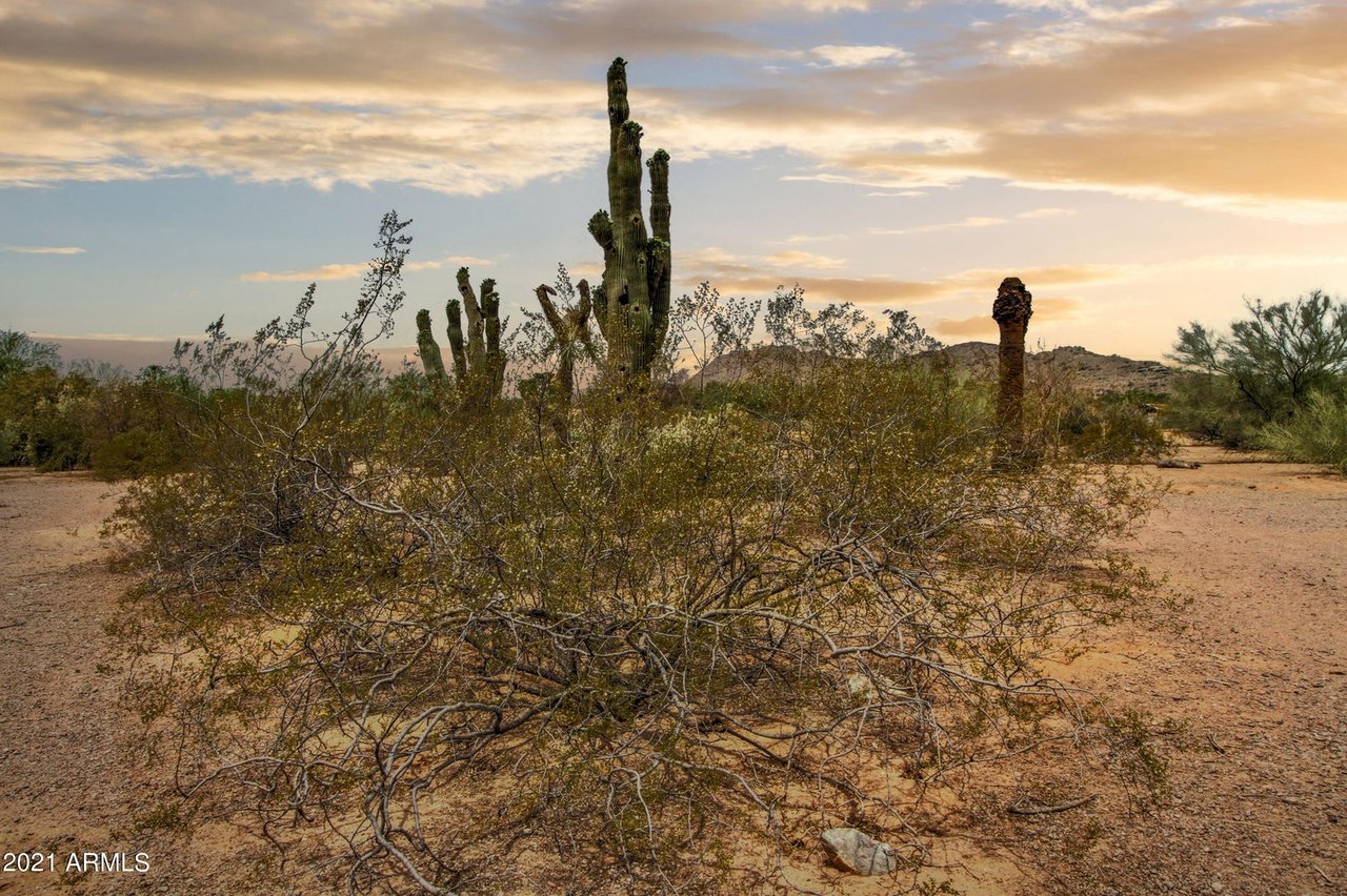 6310 N Quail Run Rd 1687