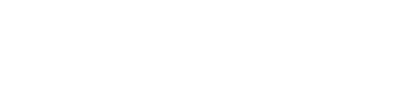 Light Logo