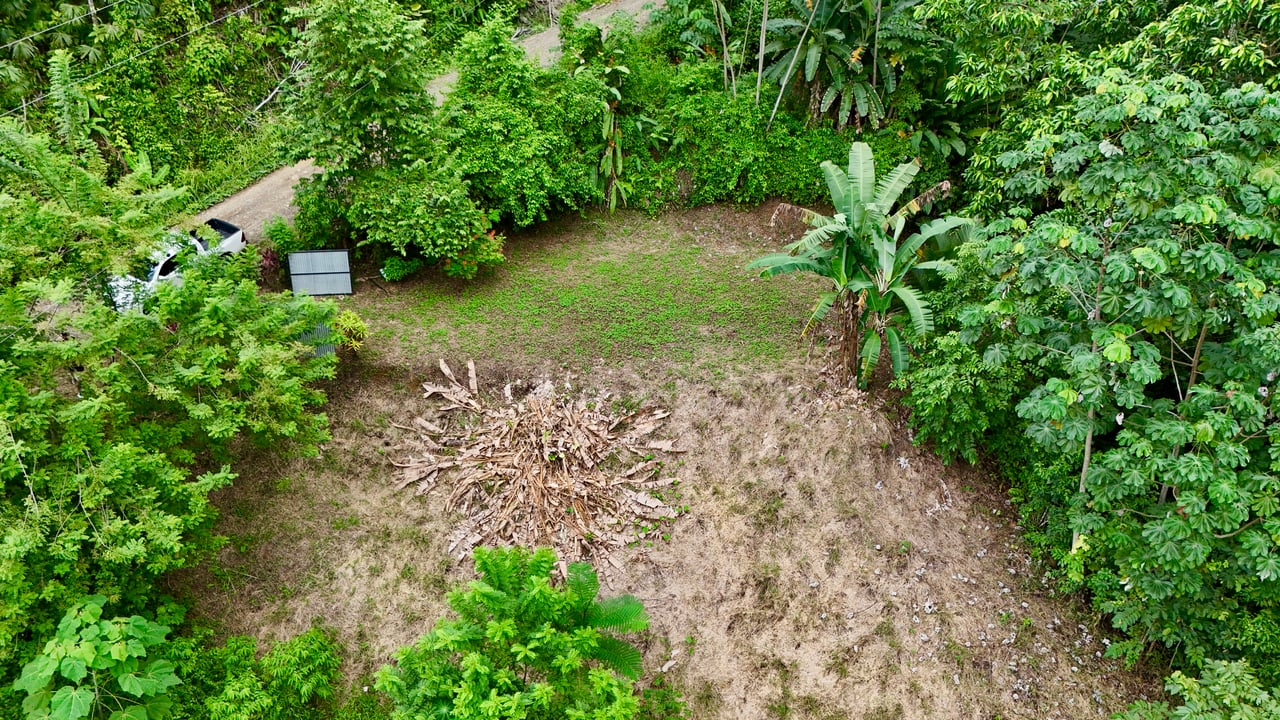 Tres Ríos Jungle Sanctuary | Ready-to-Build Lot Surrounded by Nature