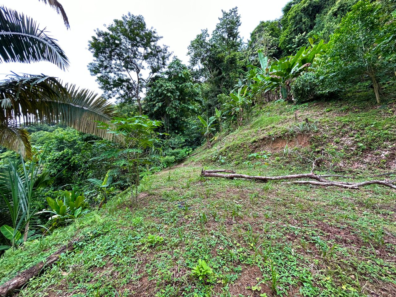 Ocean View Property in Playa Hermosa - Over 1 Acre