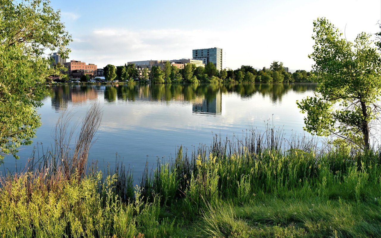 Sloan's Lake