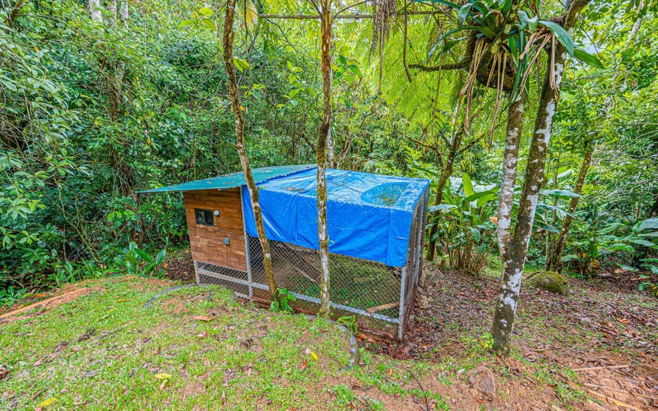 Off-Grid Regenerative Homestead, Perez Zeledon, San Jose