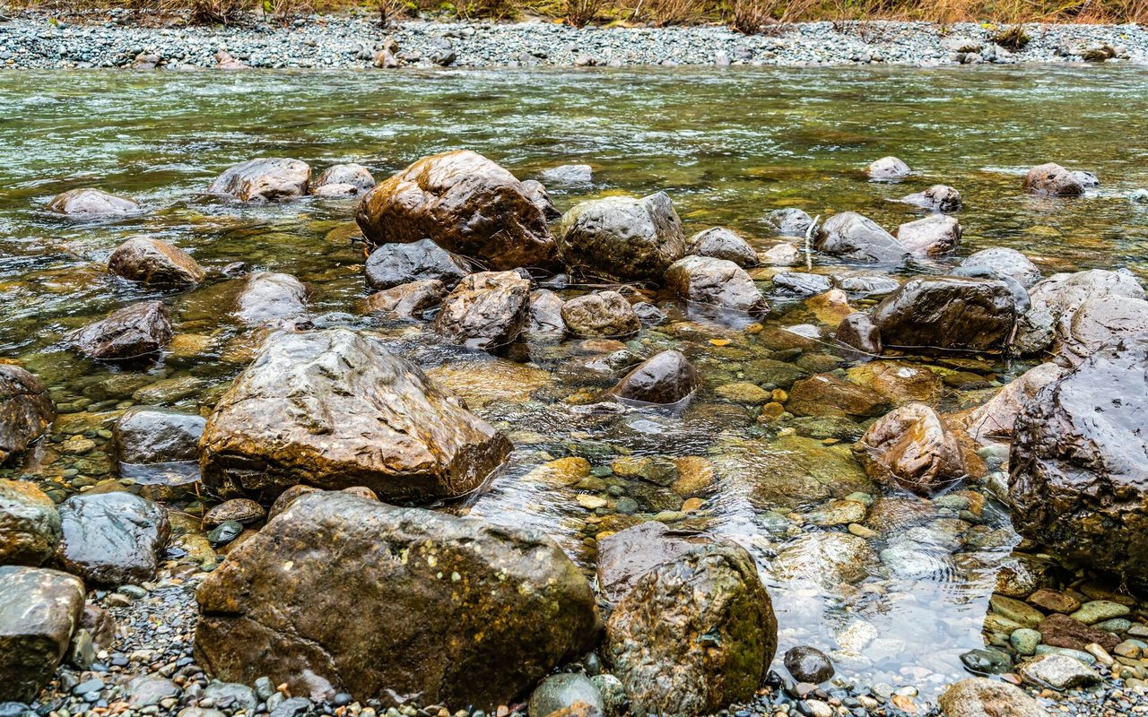 Day 22: Flooding on the Russian River
