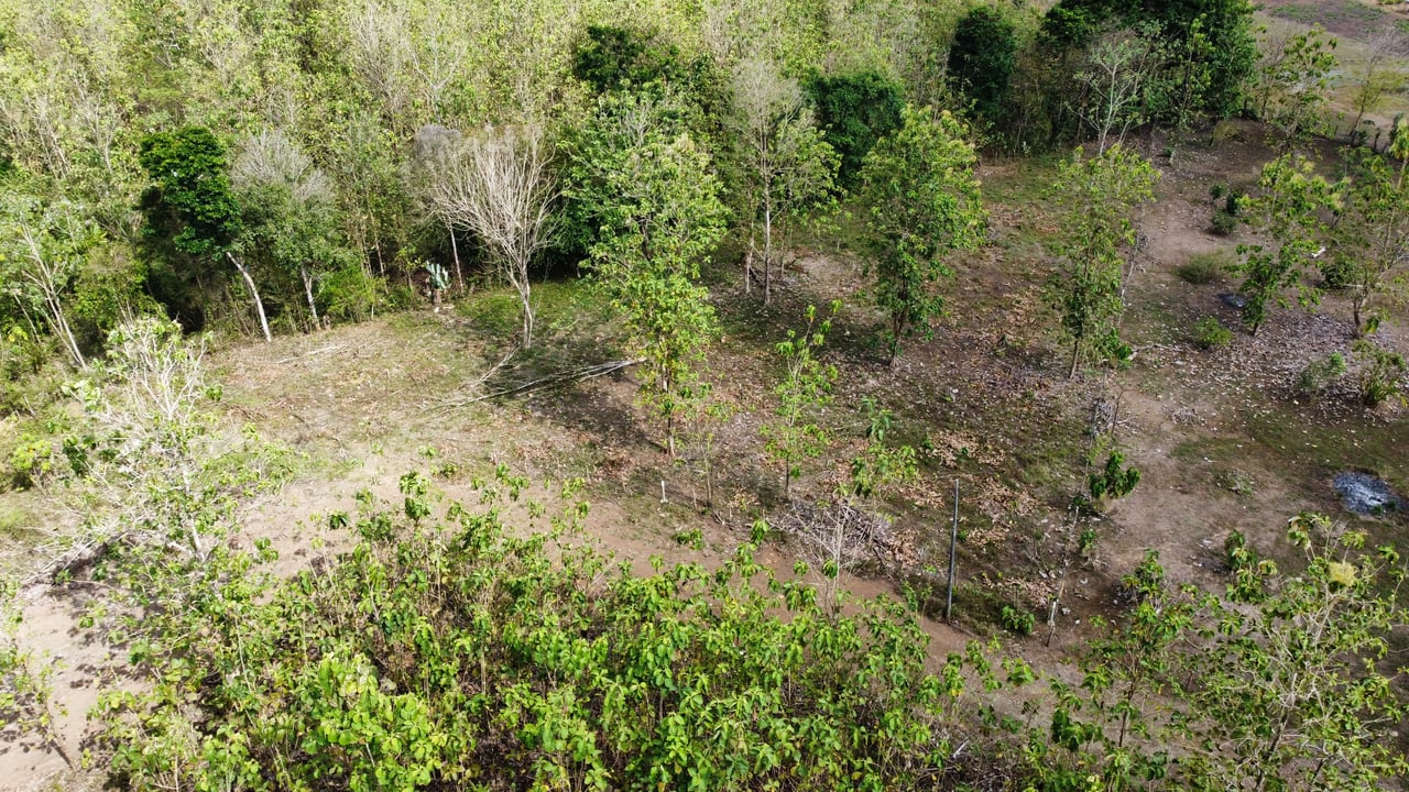 Off the grid property | Located in a privileged area, surrounded by natural beauty