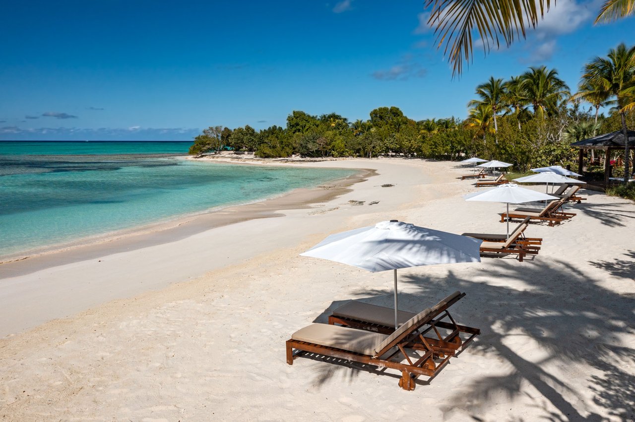 Parrot Cay