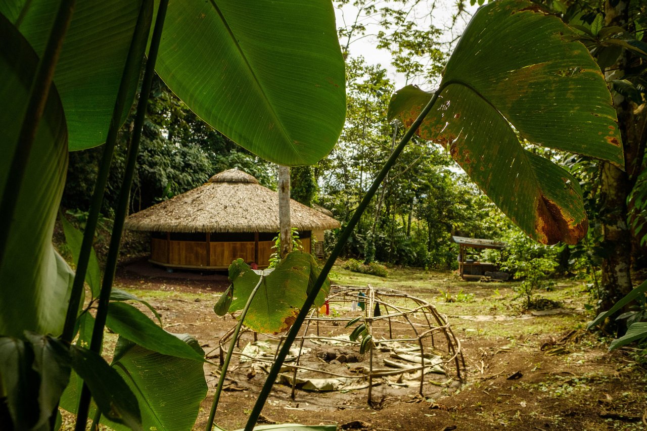 Organic Sustainable Lakefront Farm, Lake Arenal, Alajuela