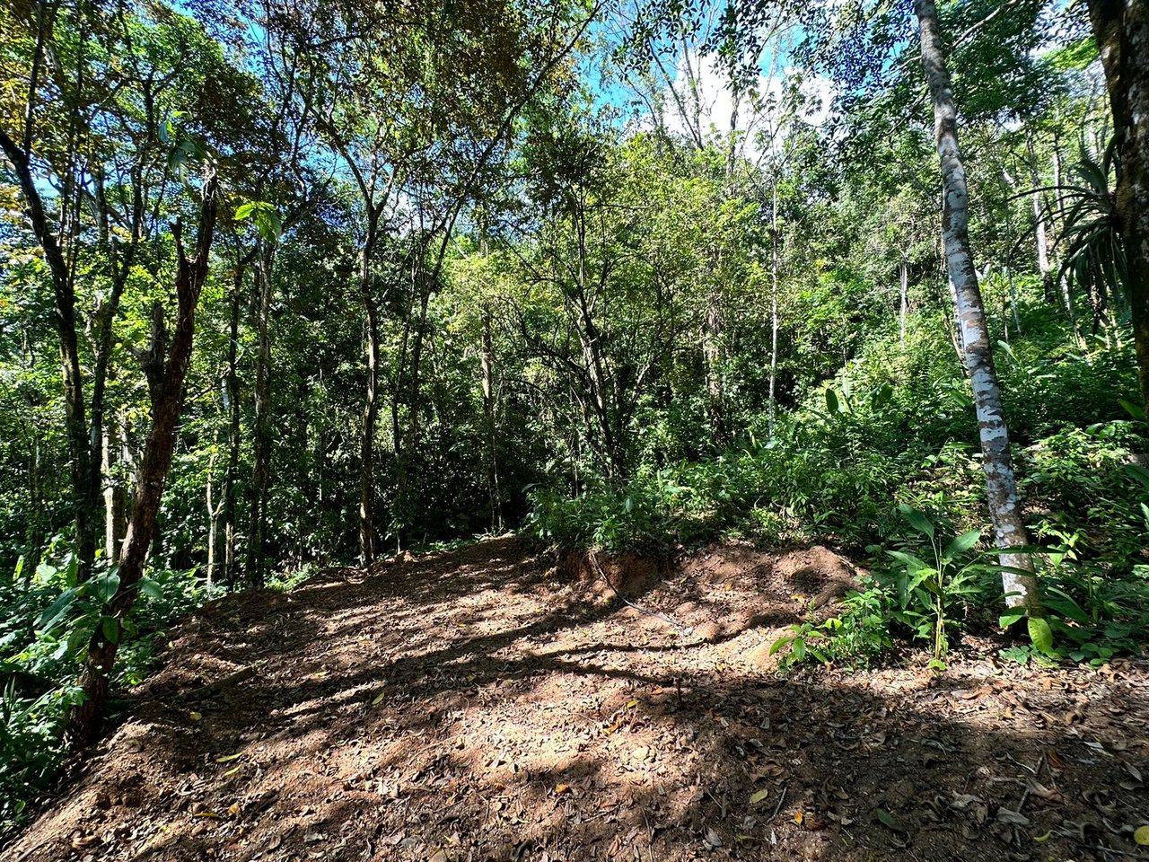 Your Dream Coastal Retreat Awaits: Prime Investment Opportunity in Playa Hermosa, Bahía Ballena