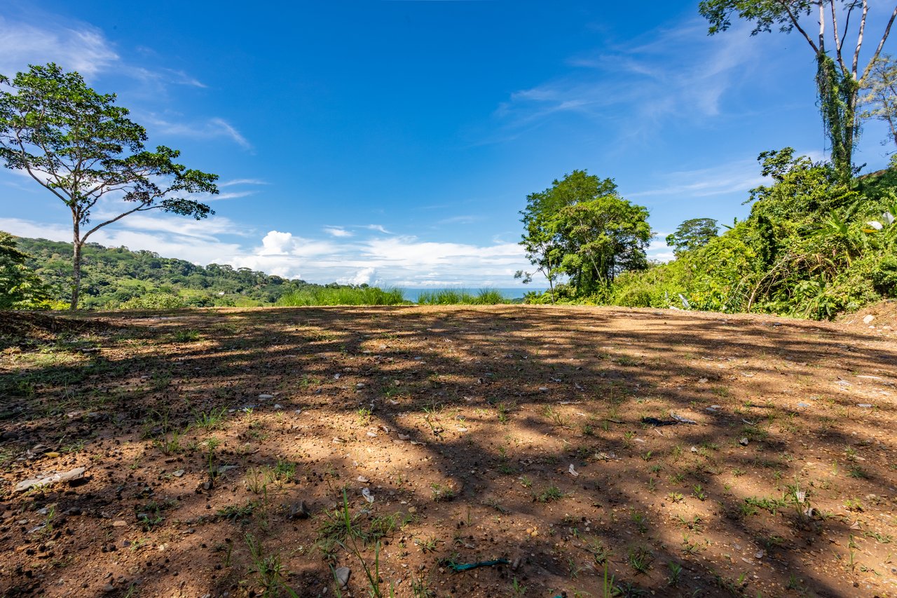 Private 5-acre Riverfront Property with Ocean & Mountain Views | San Josecito