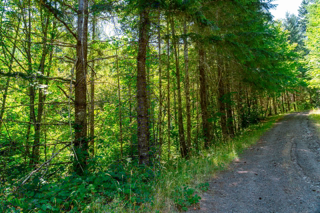 Coast Fork Woodland Meadows