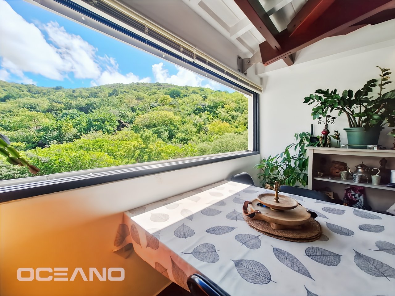 2 bedrooms apartment - Anse Marcel