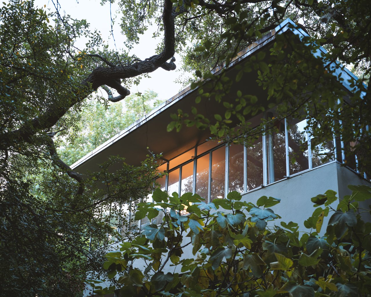 The Perch - Rare International style Architecture in Austin 