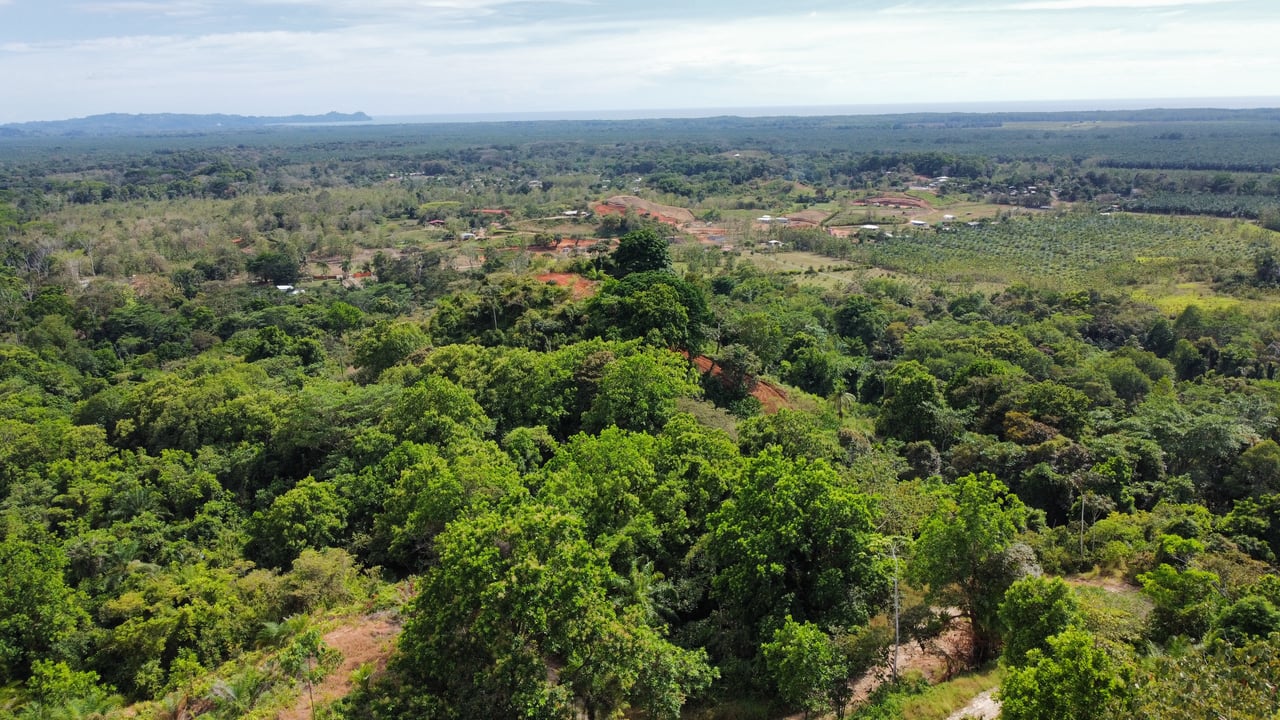 Breathtaking Ocean-View Estate: Over 1 Hectare of Serenity and Sunset Magic